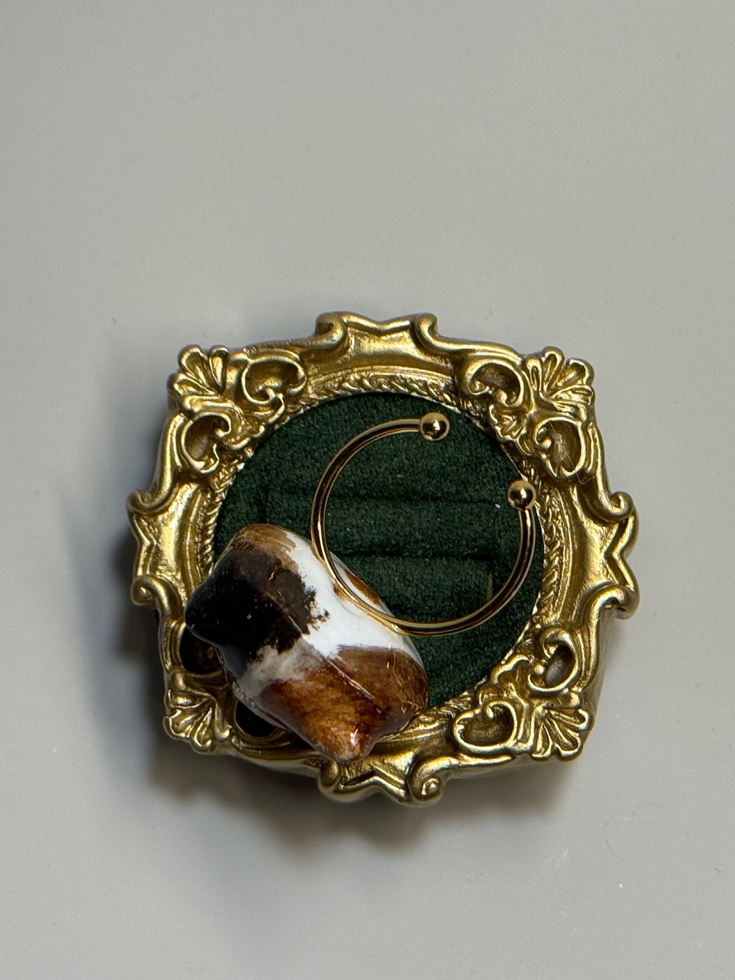 My Little Doggie ?