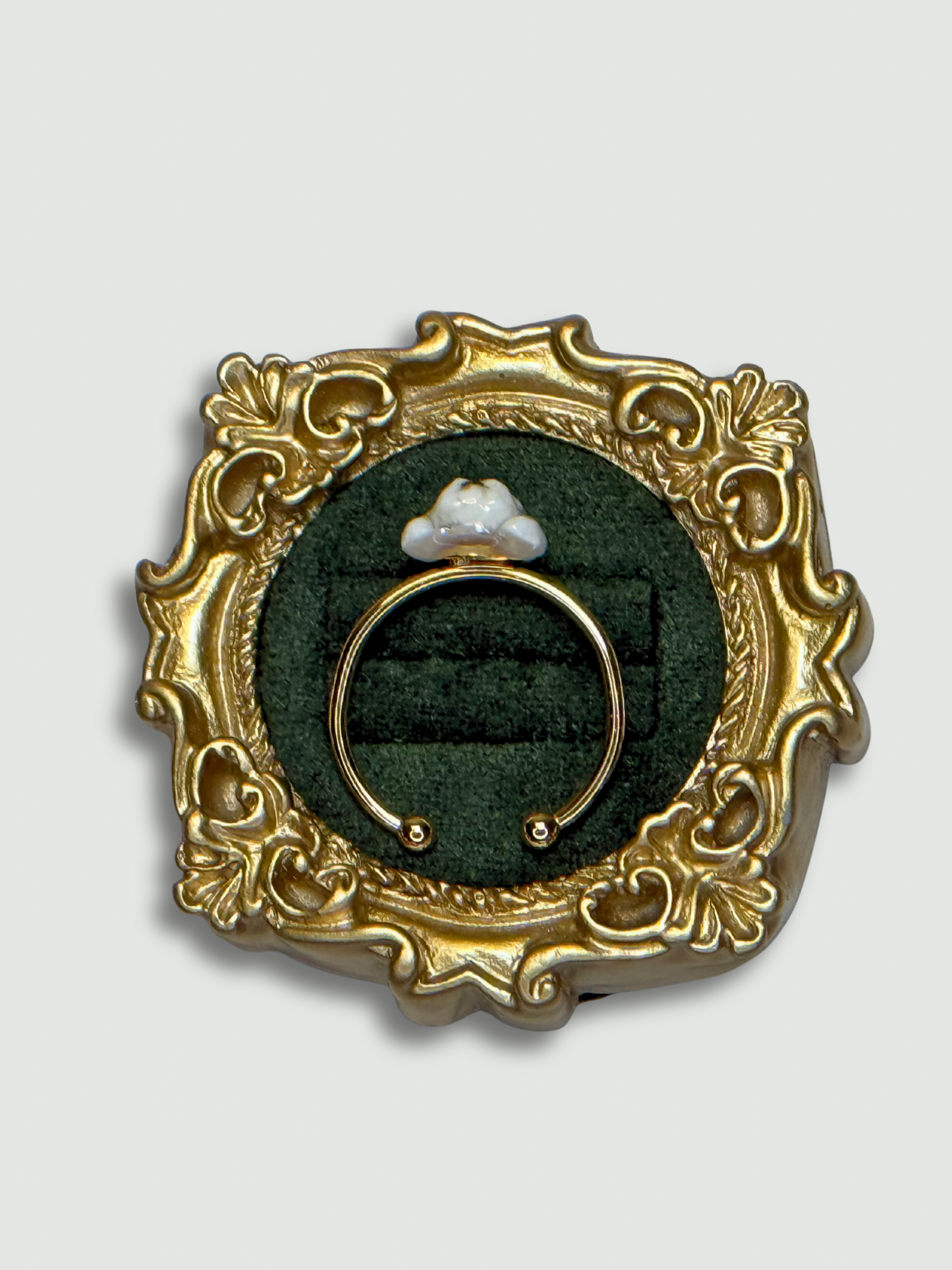 Vanilla milkshake Dog