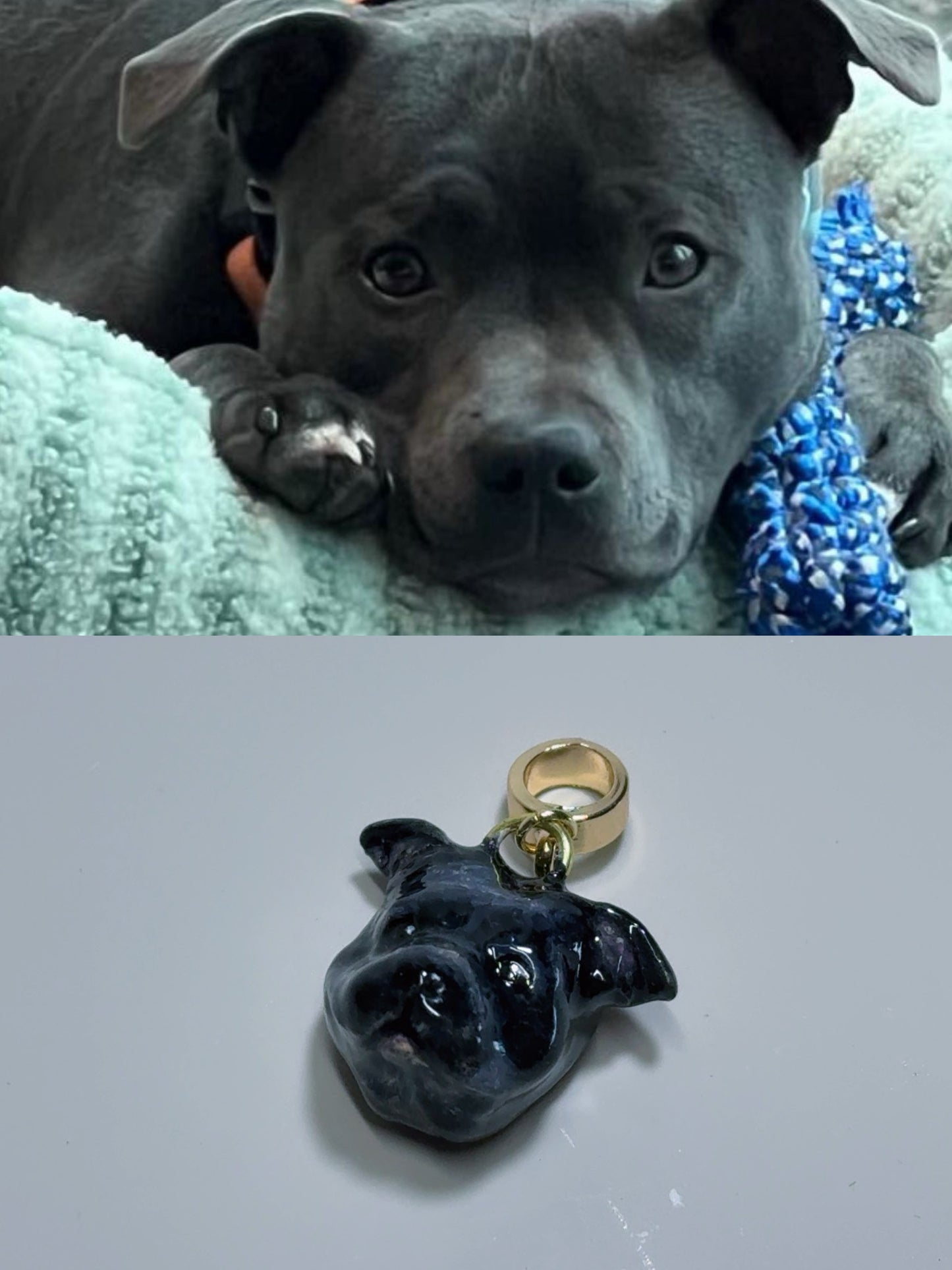 Personalized Pet Jewelry – Made Just for You