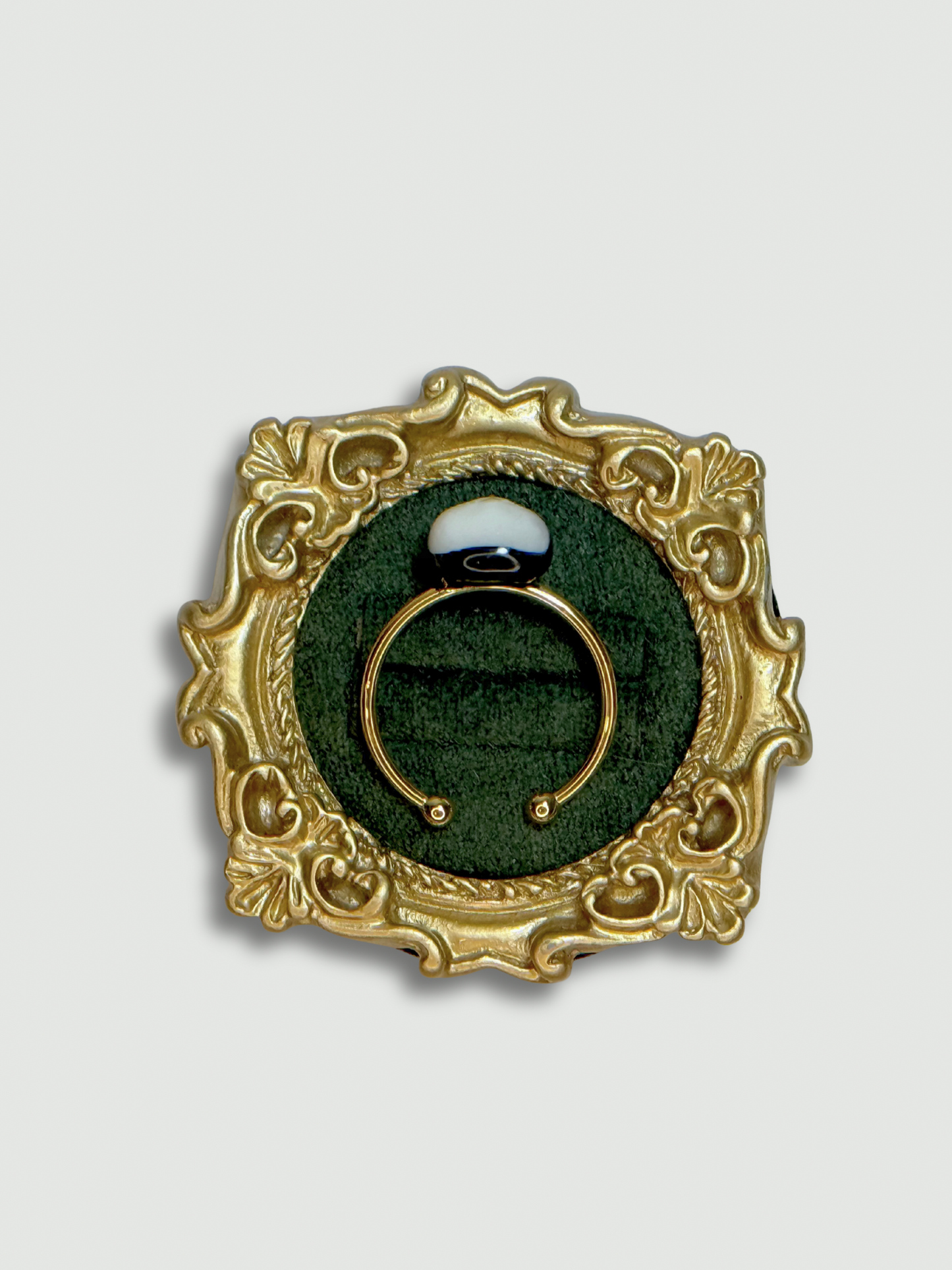 Look at me, I’m smart Cat