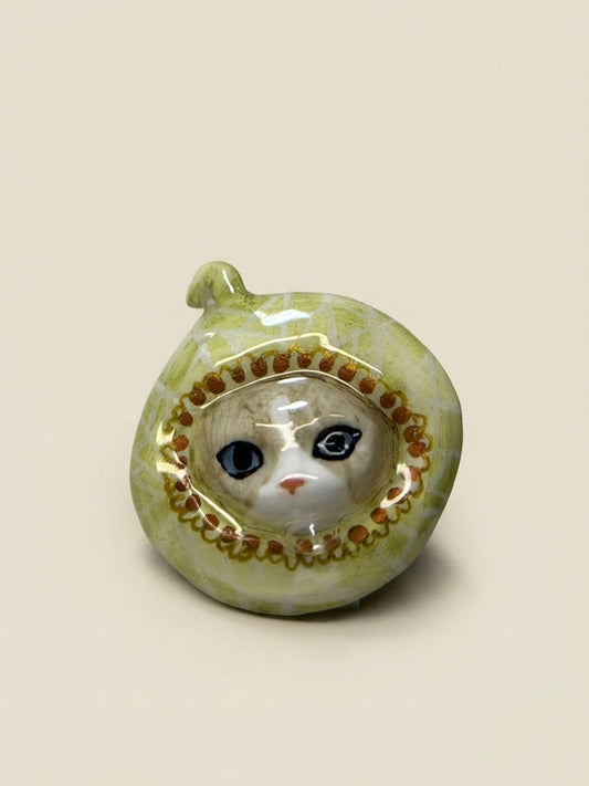 Melon Cat