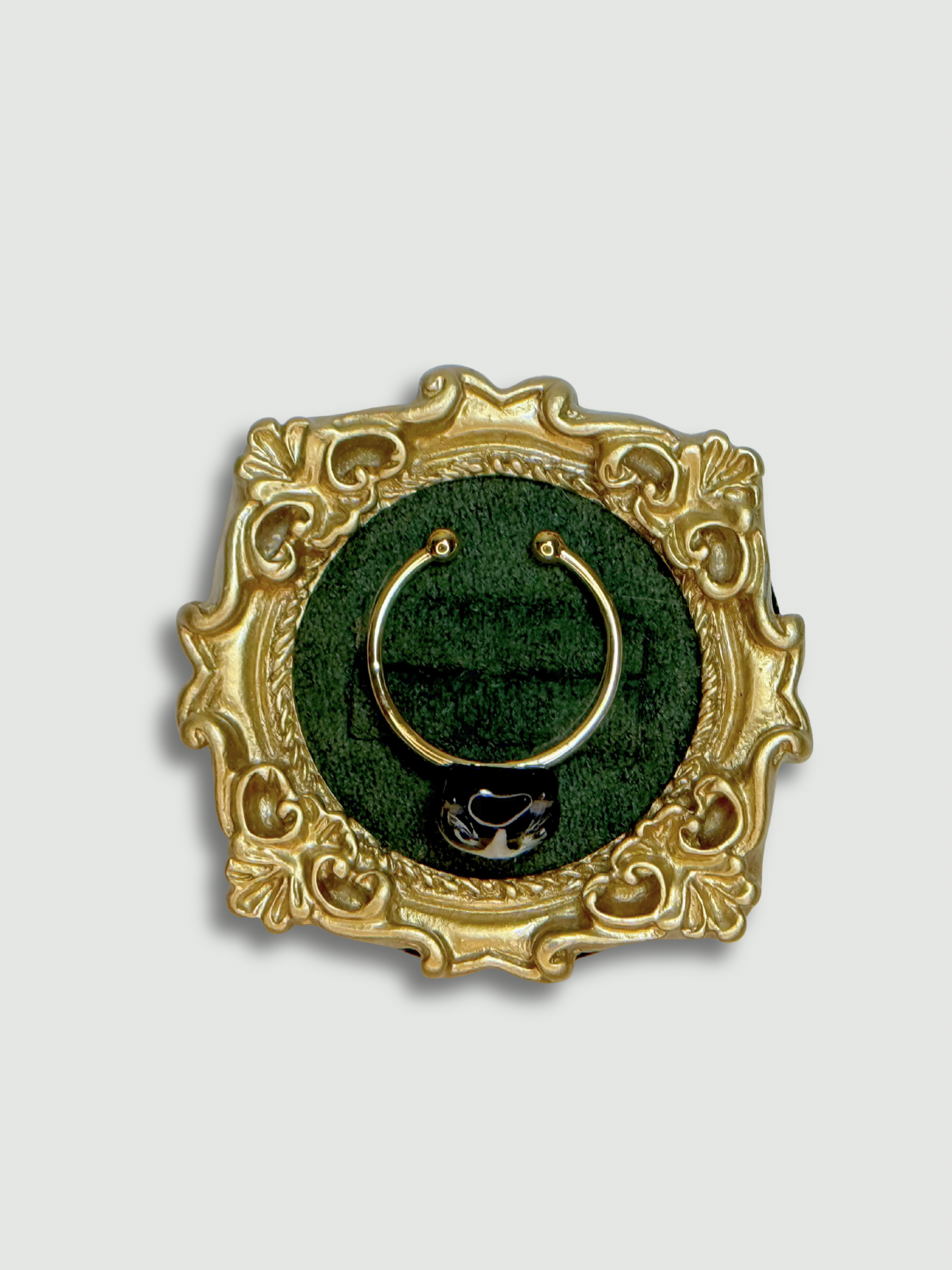 Look at me, I’m smart Cat