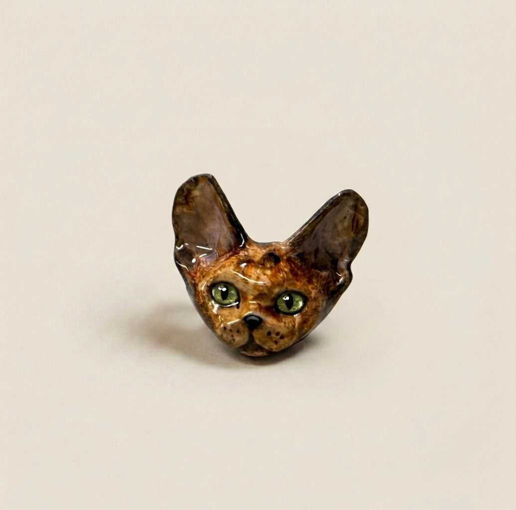 I Got Big Ears