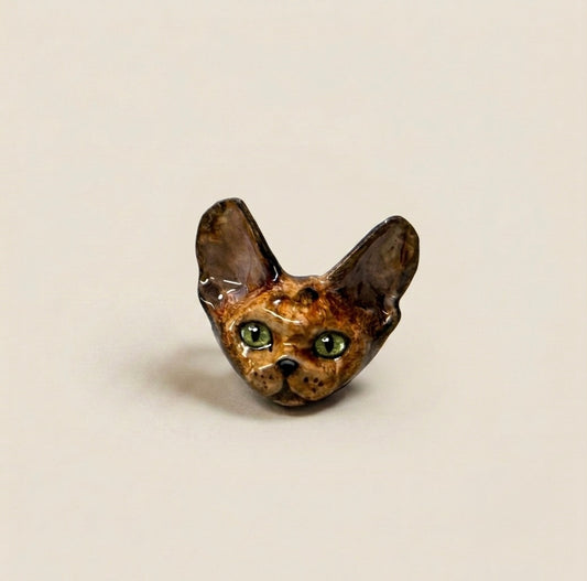 I Got Big Ears
