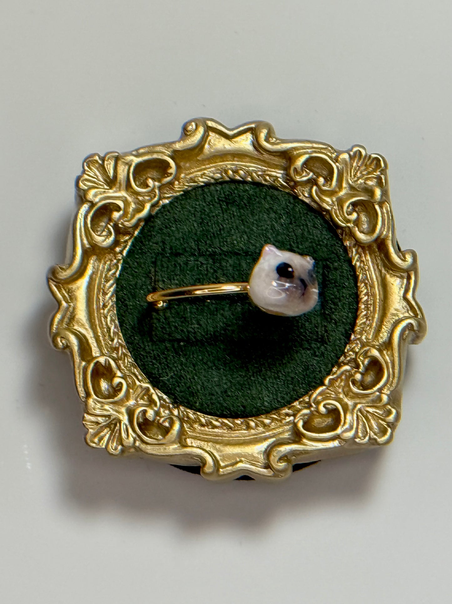 My Face Is Burned Cat