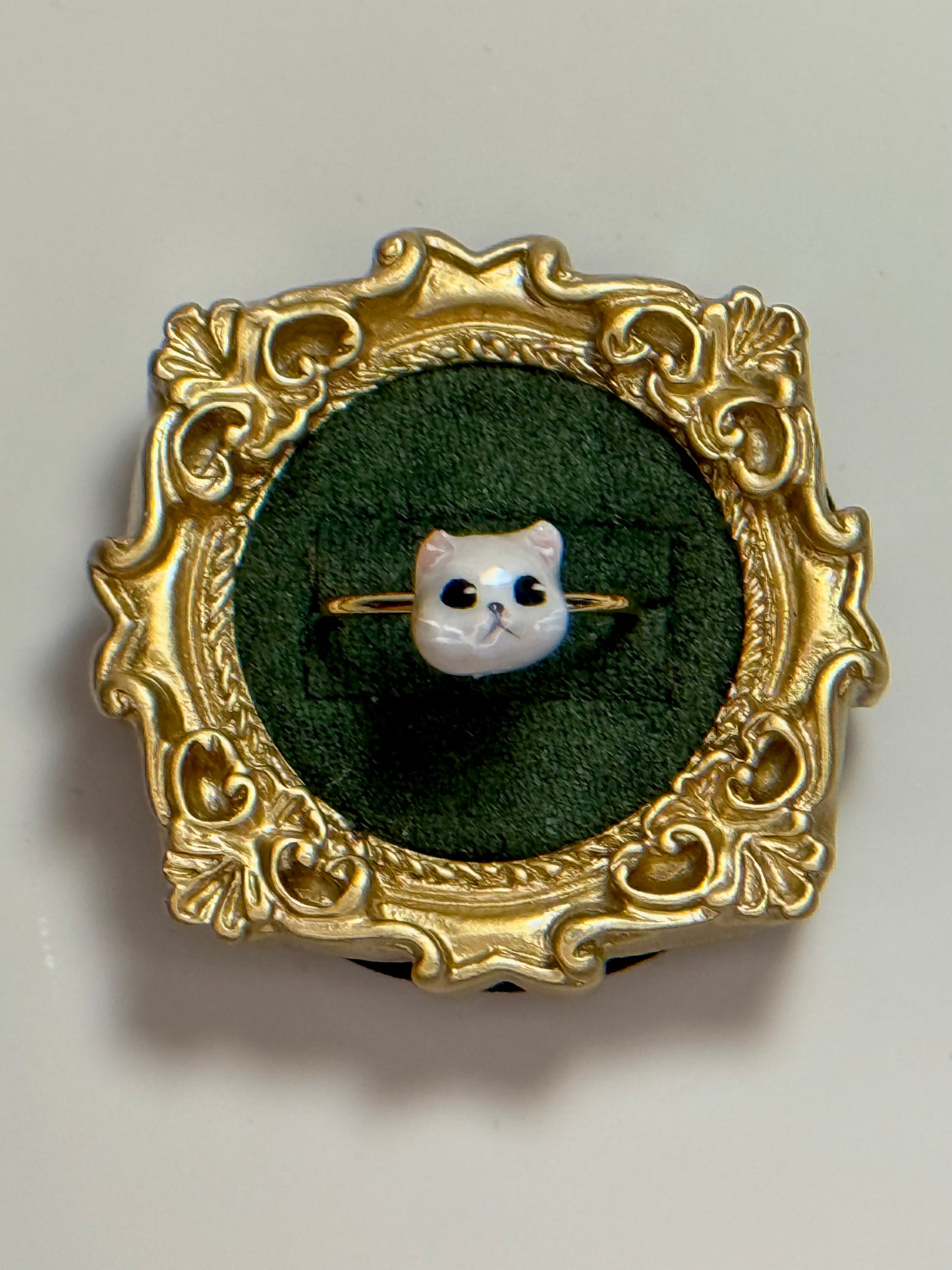 I’m Not A White Cat