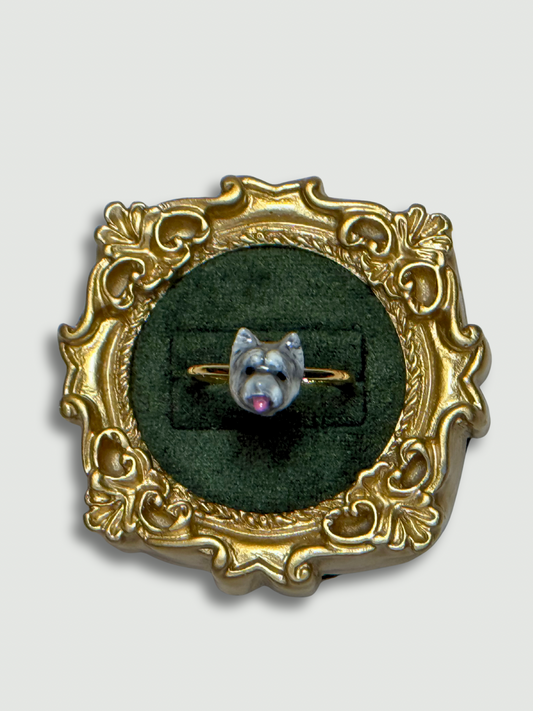 Am I look that old ?