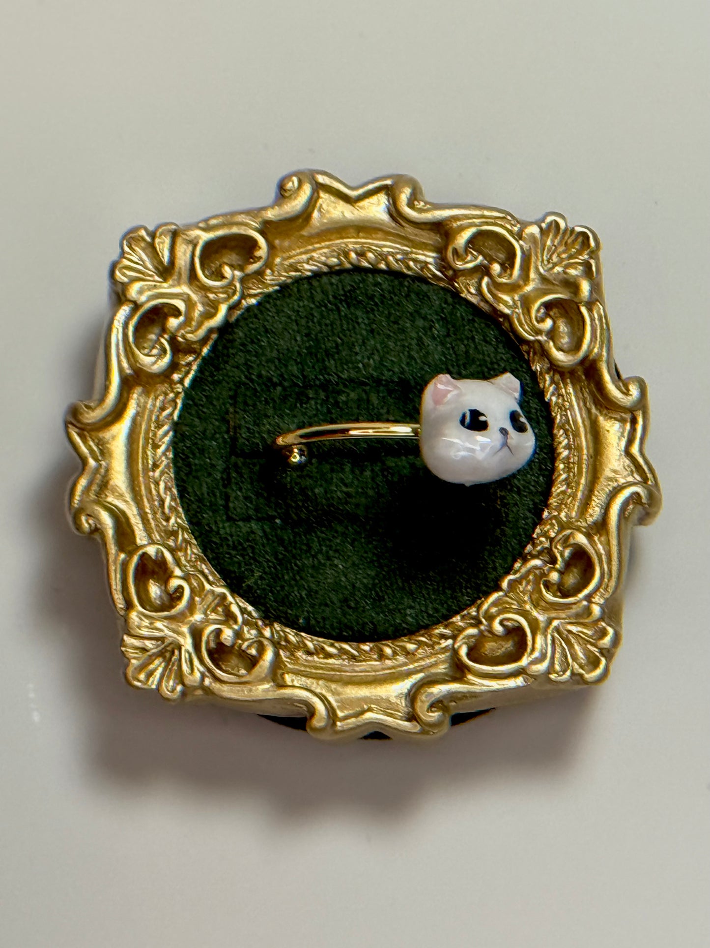 I’m Not A White Cat