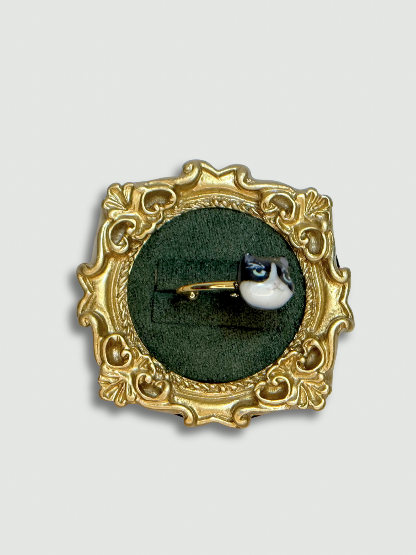 Look at me, I’m smart Cat