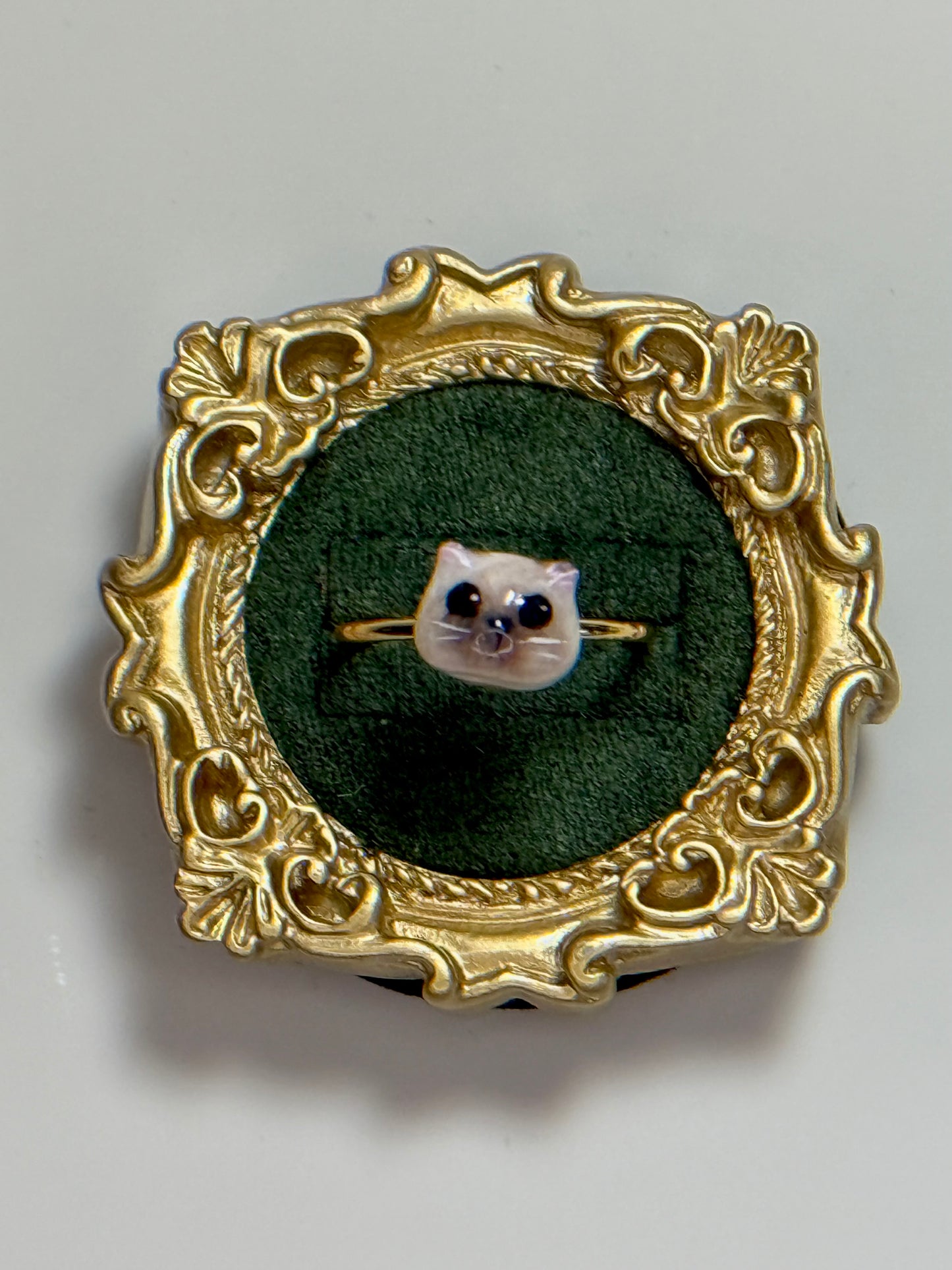 My Face Is Burned Cat