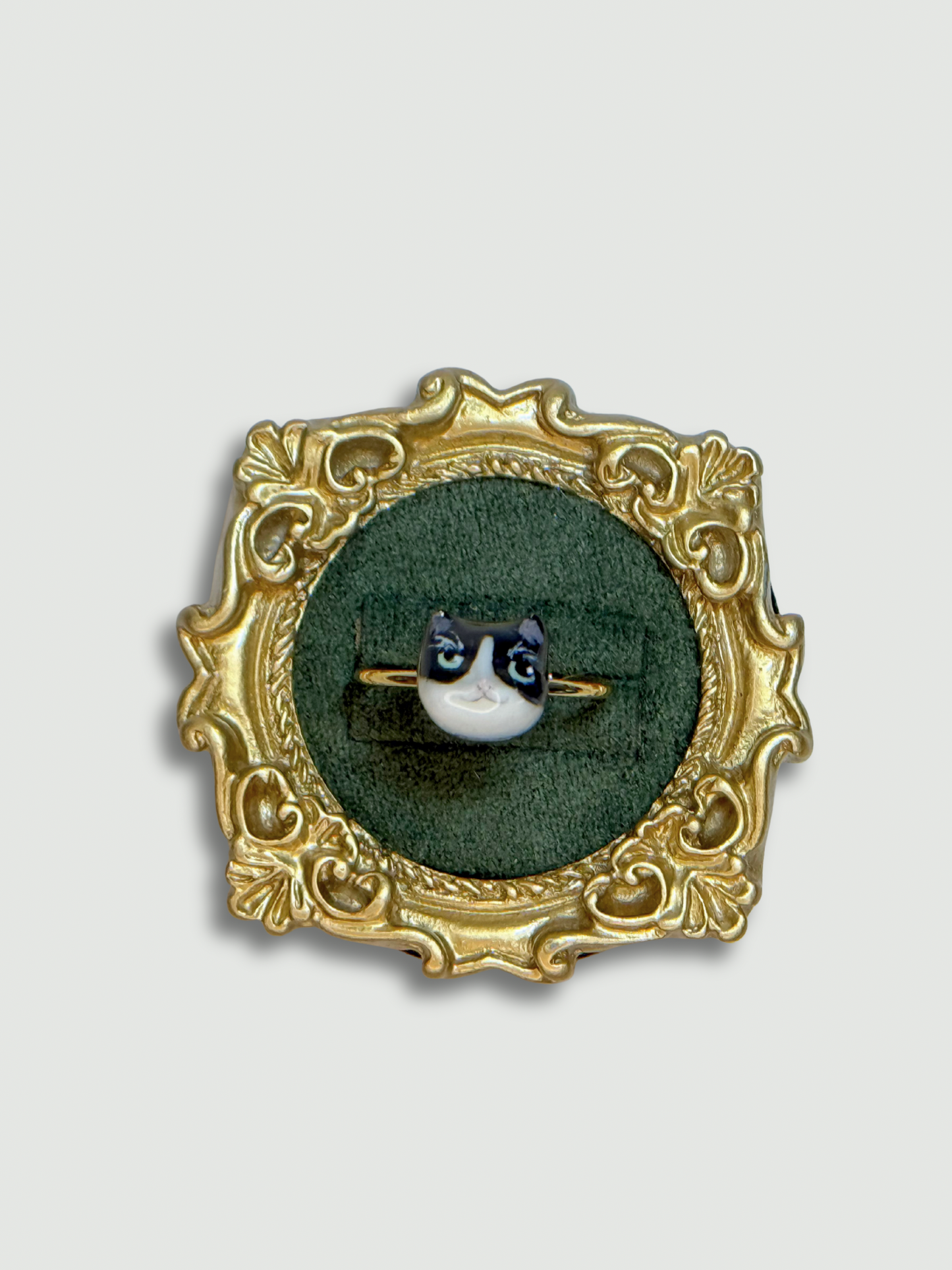 Look at me, I’m smart Cat