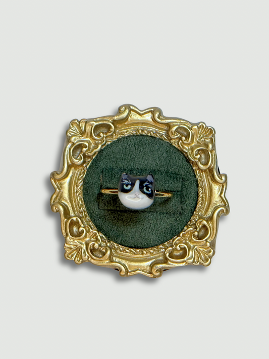 Look at me, I’m smart Cat