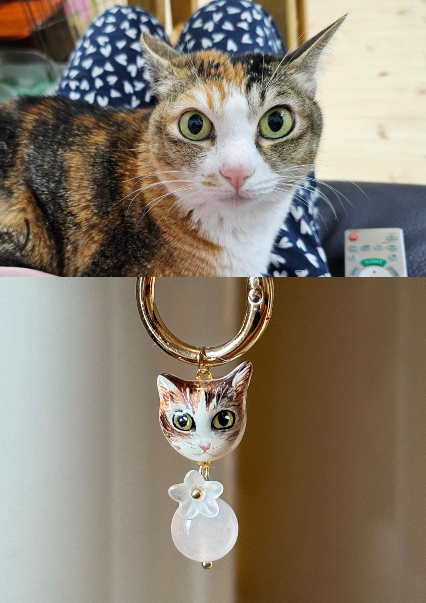 Personalized Pet Jewelry – Made Just for You